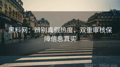 黑料网：辨别真假热度，双重审核保障信息真实