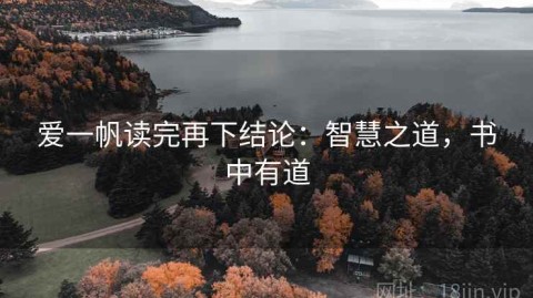 爱一帆读完再下结论：智慧之道，书中有道