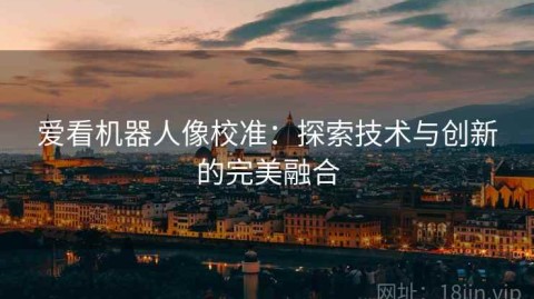 爱看机器人像校准：探索技术与创新的完美融合