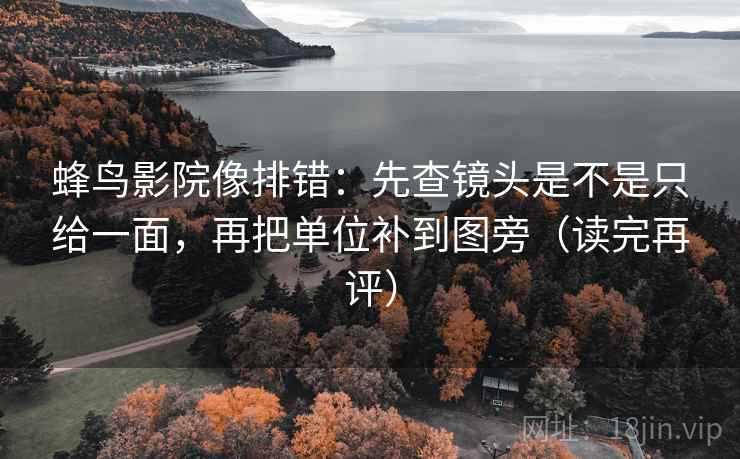 蜂鸟影院像排错：先查镜头是不是只给一面，再把单位补到图旁（读完再评）