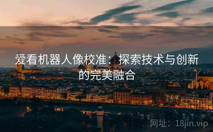 爱看机器人像校准：探索技术与创新的完美融合