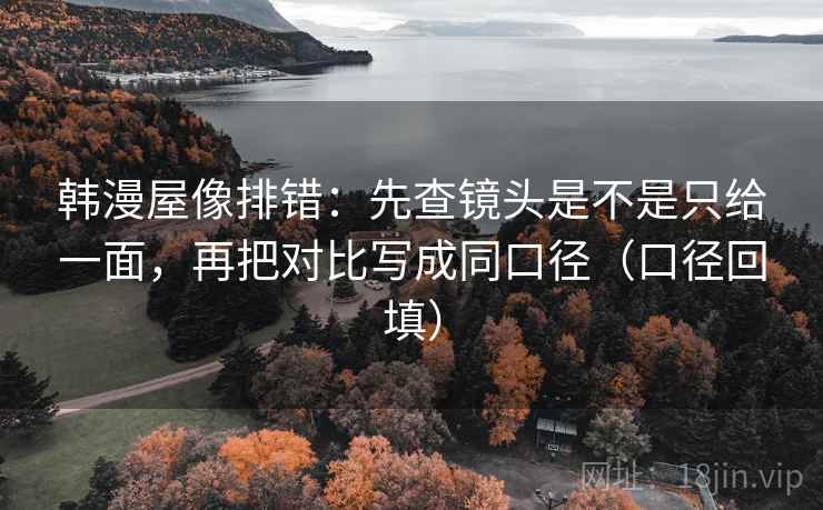 韩漫屋像排错：先查镜头是不是只给一面，再把对比写成同口径（口径回填）